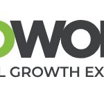 Award-Winning UK SEO Company – The SEO Works