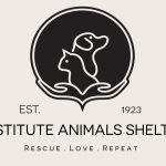 Home – Destitute Animals Shelter – Bolton