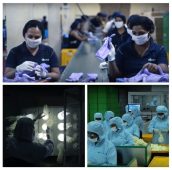 Glove Exporter Sri Lanka