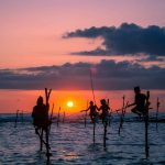 Things to do in mirissa beach