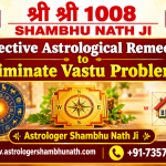 Effective Astrological Remedies to Eliminate Vastu Problems